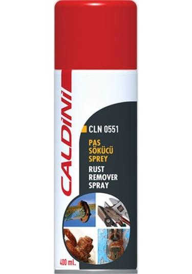 Caldini CLN0551 Pas Sökücü Sprey 400 ML