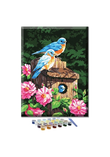 Sayılarla Boyama Seti - Mavi Kuşlar