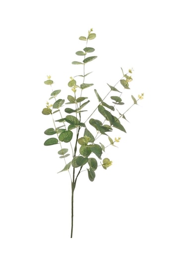 Yapay Çiçek Yeşil Okaliptus 90cm 5dallı Uzun Dal Eucalyptus