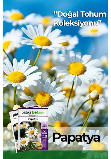 100 Adet Tıbbi Aromatik Papatya Tohumu