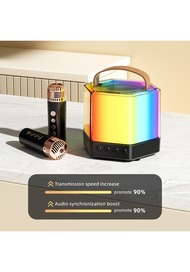 Skycıty Kablosuz Karaoke Ses Sistemi, İki Mikrofonlu