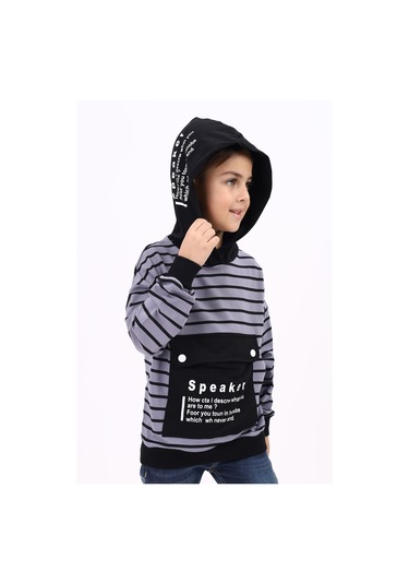 Toontoy Erkek Çocuk Speaker Baskılı Sweatshirt Gri