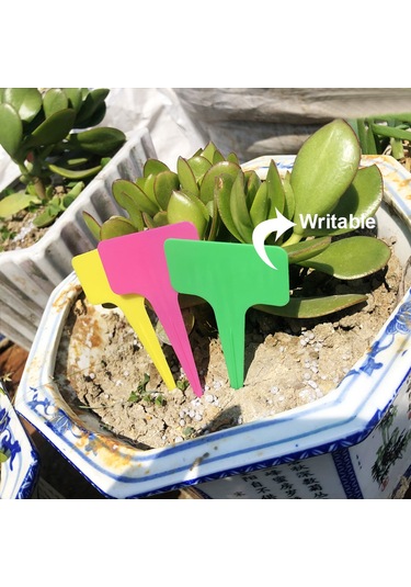 Neevoyu Siyah T Şekilli Bitki Etiketleri 100 Adet - Dayanıklı Pp Plastik - Su Geçirmez - Çimlene Kolay - Bahçe Ve Saksı Bitkileri İçin