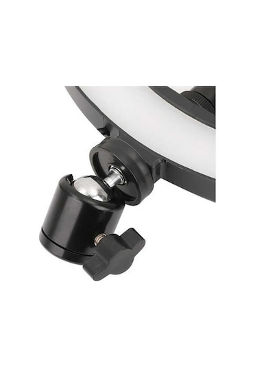 Zore M-2603 10" Işıklı Telefon Tutucu Ring Light + 210 CM Tripod
