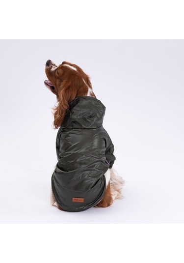 Pettrend Haki Mont Köpek Mont Köpek Kıyafeti Köpek Yağmurluğu