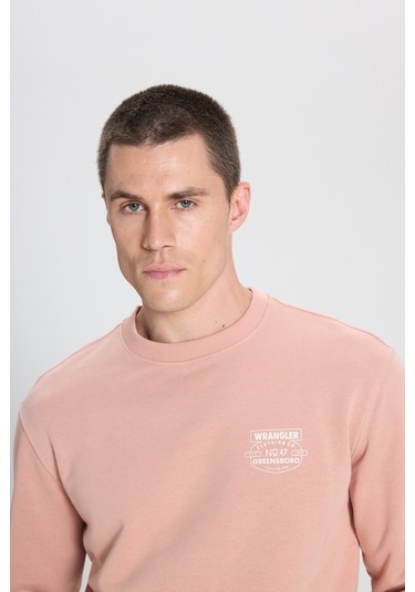 Regular Fit Normal Kesim Bisiklet Yaka Pembe Sweatshirt W242338613 Pembe