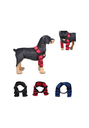 Homyl Köpek Diz Eklemi Desteği Ön Bacak Sıkıştırma Brace Koruyucu