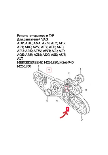 Zekkert Audı A4 A6 Passat B5 B5+ Alternatör Kayışı 262223766