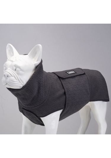 Ashen Grey Küçük, Orta Ve Büyük Irk Köpek Poları