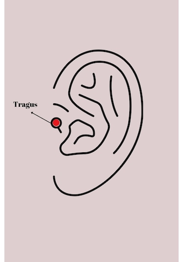 Bfs 316l Çelik Gold Renk Zirkon Taşlı Çiçek Model Tragus Piercing Çok Renkli