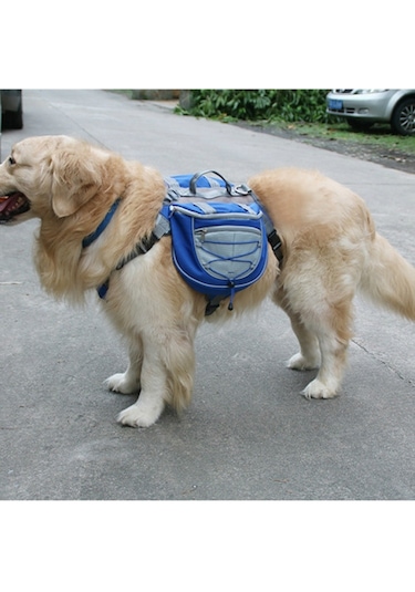 Sones Sırt Çantasının Dışındaki Köpekler İçin Kendinden Taşınabilir Sırt Çantası Nefes Alabilir Örgü Pet Çanta