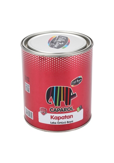 Filli Caparol Kapatan Leke Örtücü Boya 0,75Lt