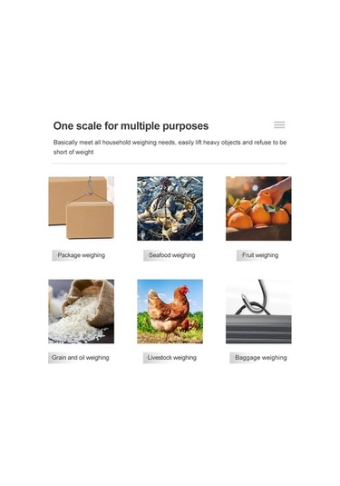 Funtree Treasure 40 Kg 10g Mini Dijital Terazi, Balıkçılık, Seyahat, Bagaj Kullanımı İçin