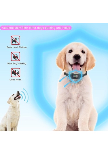 Homyl Yavru Küçük Orta Büyük Köpekler Için Şarj