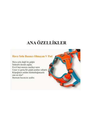 Interlaken H Koşum Takımı Ped Tipi Siyah Kırmızı Göğüs Tasması L Kırmızı - Siyah