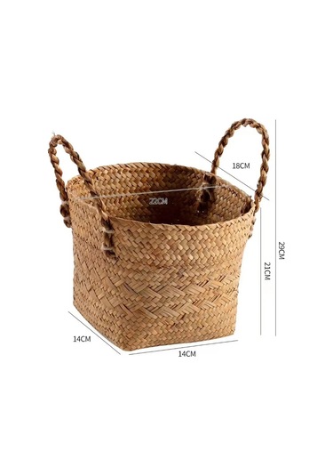 Home Set Ev Bitkileri İçin Saksı 284255663