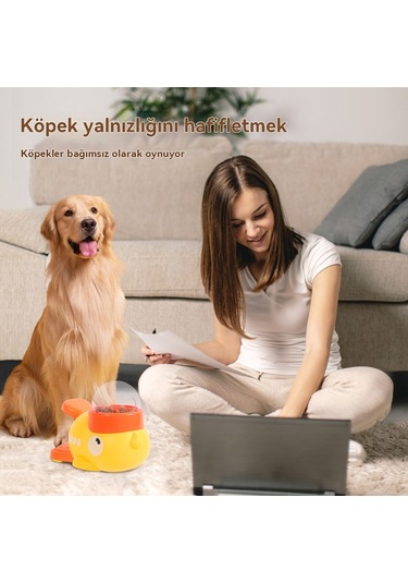 Soulader Akıllı Kedi Maması Kabı Otomatik Besleyici Eğitici Oyuncağı Evcil Hayvan Ödül Dağıtıcı