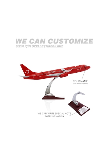 Zekupp - Maket Uçak - Boeing 737-800 1/100 - TÜRKİYE ÖZEL TASARIMLI Model Uçak, Model E