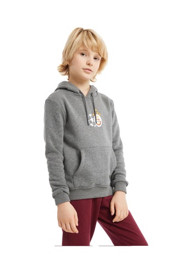 Gs Şampiyonlar Ligi Ucl Hoodie 230613k Gri