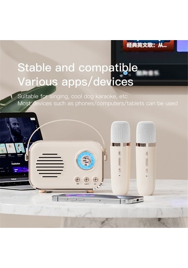 Besthome1 Retro Kablosuz Karaoke Hoparlör: 5.0 Teknoloji, Taşınabilir Mikrofonlu Ses Sistemi