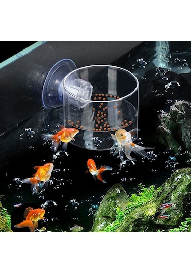 Sones Akrilik Şeffaf Besleme Halkası Balık Tankı Besleyici Yüzer Sabit Balık Besleyici, Özellikler: Küçük Silindir