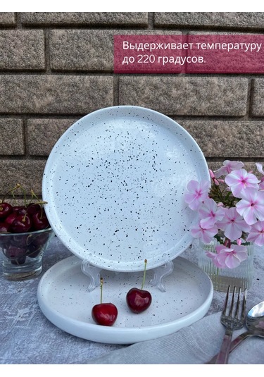 Ylla 22 Cm Kenarlı Mermer Desenli Seramik Tabak Takımı 235648123 Beyaz