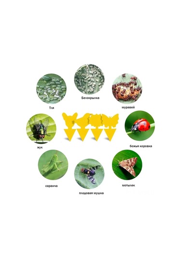 Neevoyu 24 Adet Sarı Bitki Haşere Tutucu Tutanaklı Paneller - Sinek, Sinek, Akar, Beyaz Sinek Ve Diğer Böcekler İçin Ev Bitkileri Koruma