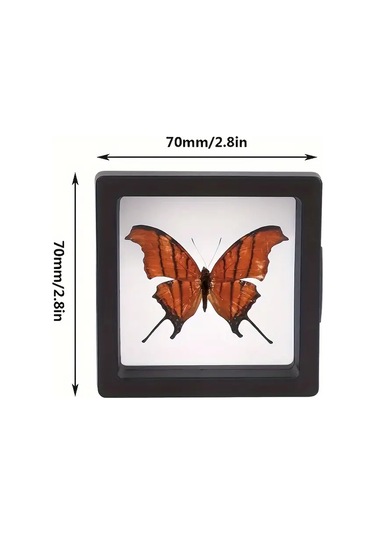 Güneşe Dayanıklı 3 Adet Gümüş Takı Yada Kolleksiyon Koruma Kutusu Çok Renkli