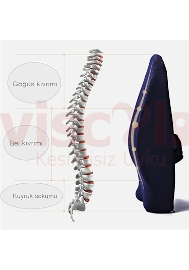 Viscoli Yastık Ortopedik Yuvarlak Oturma Simidi Minderi + Boyunlu Bel Yastığı