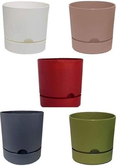 5 Adet Polıwork Saksı Begonya 18 Cm