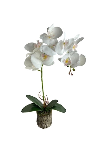Nettenevime Kütük Saksılı Tekdal Islak Orkide Yapay Çiçek Beyaz 50 x 30 CM