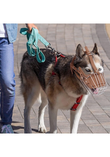 Pasha Pet Metal Deri Köpek Ağızlığı M - 33 Cm