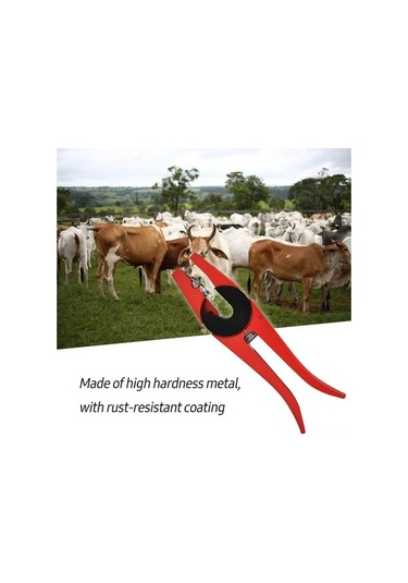 Didadodo Yeşil/kırmızı Metal Kulak Küpesi Penseti - 320g, 30x10x2cm, Güzel Tasarım