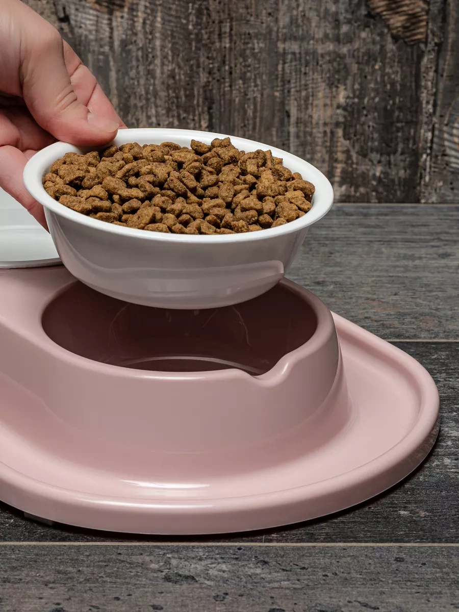 Al'ternativa Kedi Ve Köpekler İçin Pembe Çift Kase 178093935