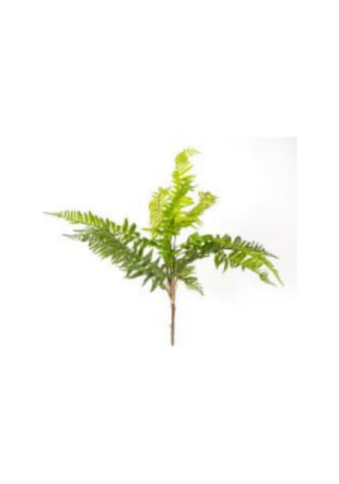 Yapay Bitki Fujer/eğrelti Otu Yeşil 75 Cm. Çok Renkli
