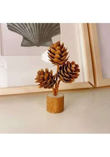 Opulentliving Çam Çekirdeği Masa Üstü Süs Nesnesi, Göyçəkli, 10-12 Cm Yükseklik, İçerik Elmpaly Mağazası