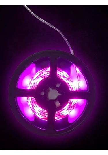 Sunmix Led Fitolent Fito Lamba Fitosvetlichnik İçin Fide 307777592 Violet