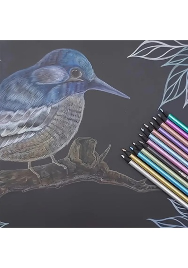 Kara Kalem Çizim Seti Metalik 12 Renk Kalem Çizim Set, Parlak Eskiz Ve Tonlama-12li