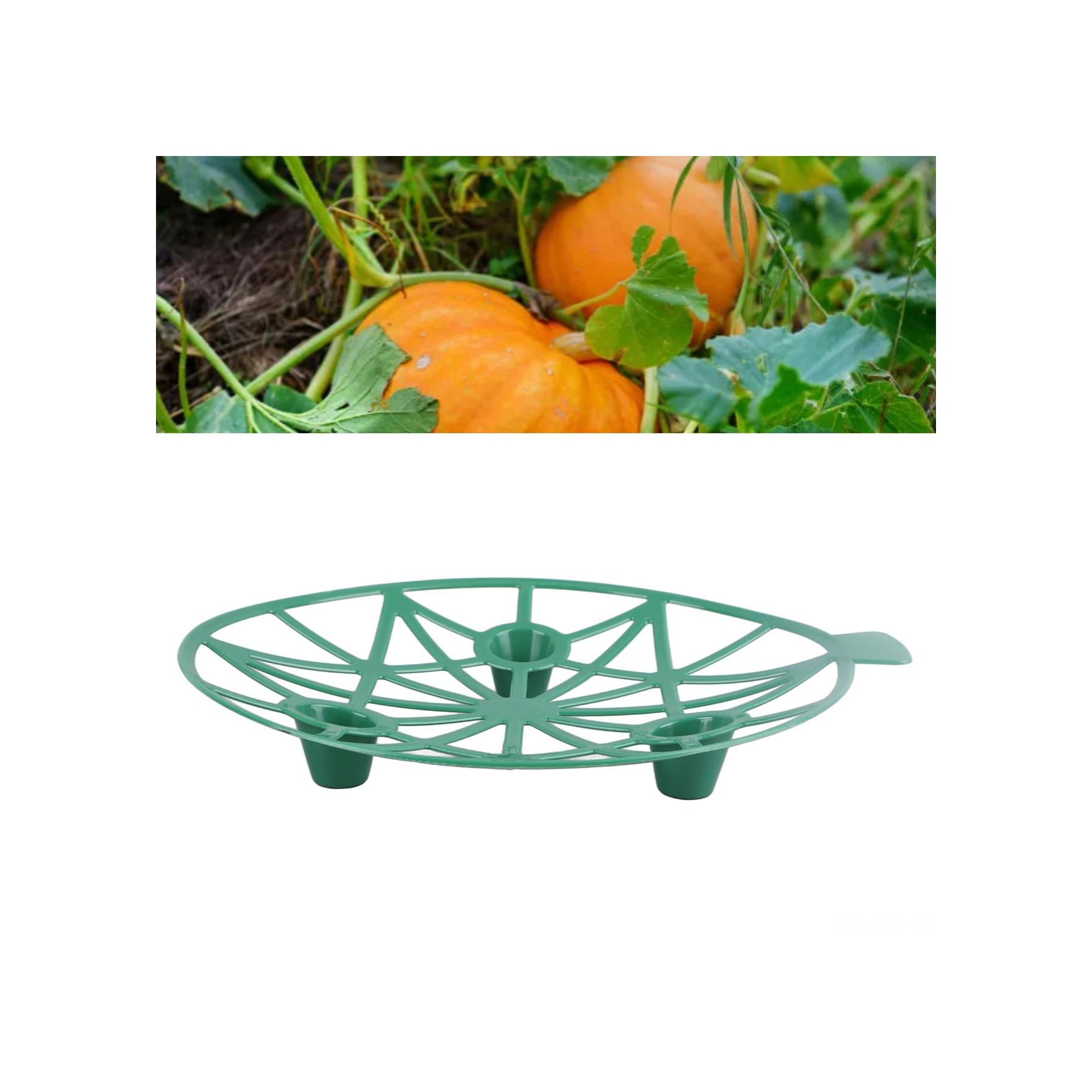 Geeroyoo 10 Adet Pp Meyve Destek Aparatı - Bahçe Sebze Kürdanı, Havalandırma Sağlar, Çürümeyi Önler, Yeşil Renkli Ev Ve Bahçe Kullanıma Uygun