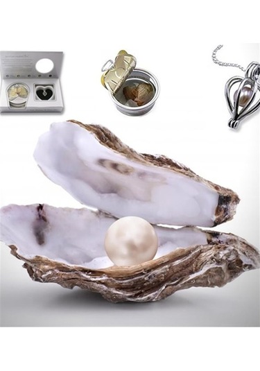 Kişiye Özel Fotoğraflı Hediye Seti İstiridye Kolye Ve Kelebek Tasarımlı Kupa