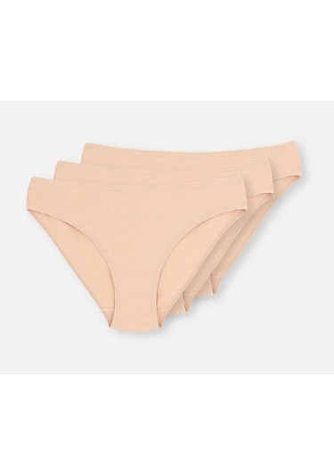 3 Lü Paket Dagi Bayan Klasik Slip Külot 5113kc Ten