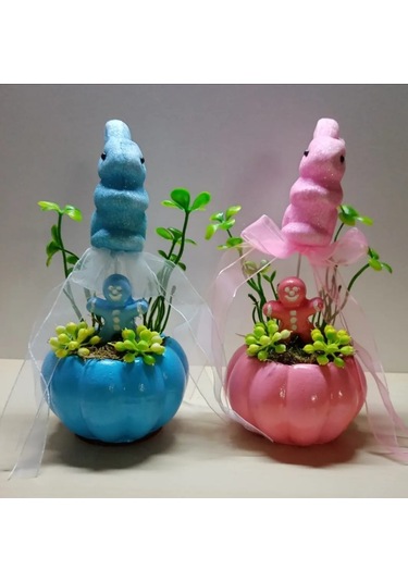 Neolife Yeni Doğan İkiz Bebek Hediyesi Doğum Tebrik Hediyesi Sevimli Tavşancık Detaylı 2 li Kabak Teraryum