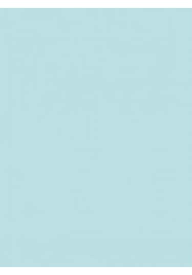 Wagner Boya Wabıesılan Silikonlu Dış Cephe Boya 2,5 Lt