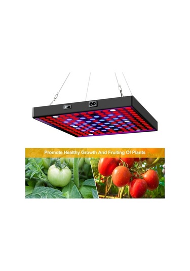 Fortunelane 81 Led'li Bitki Işığı - Mekan Fide Yetiştirme Işığı Avrupa Standartı Diğer