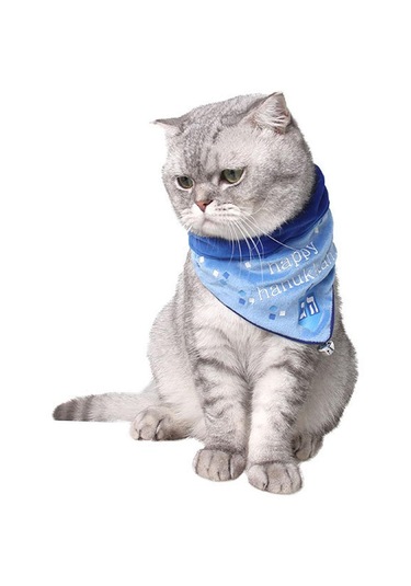 Homyl Köpek Kedi Tükürük Havlusu Üçgen Önlük Mavi