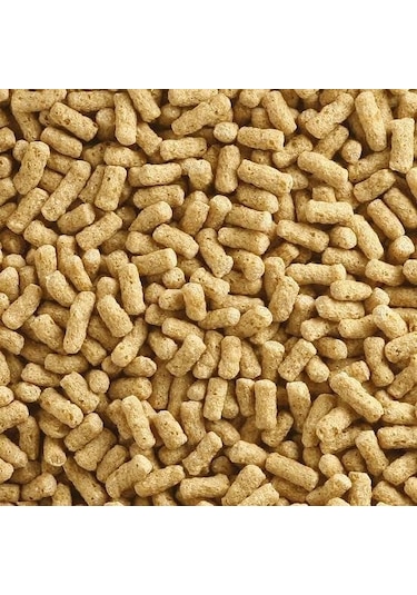Badem Akvaryum Sade Pond Yem Açık 100 G
