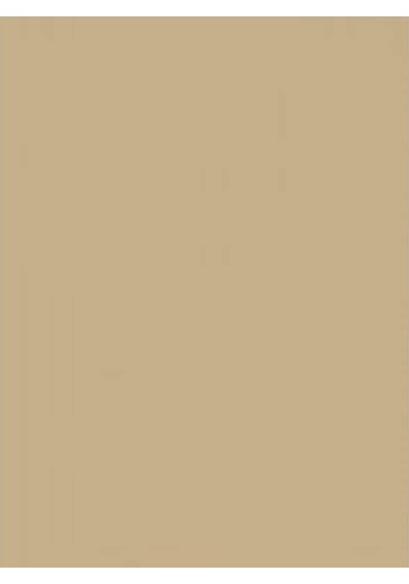 Wagner Boya Wabıesılan Silikonlu Dış Cephe Boya 2,5 Lt