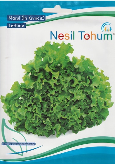 NesilMarul Tohumu  İri Kıvırcık 5 GR