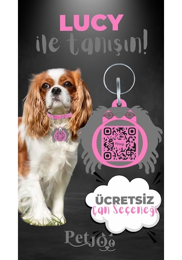 Petjoo 11.Lucy Gri-Pembe Qr'lı Köpek Künyesi
