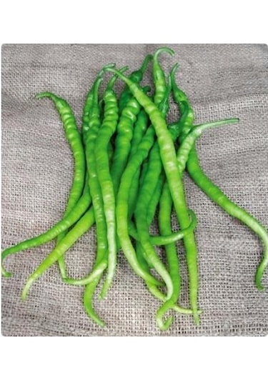 Yerli Ata Tohumu Acı Kıl Biber 100 Adet